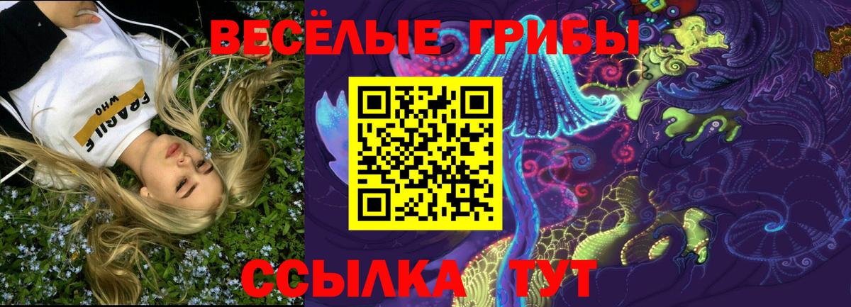 Псилоцибиновые грибы MAGIC MUSHROOMS Малгобек