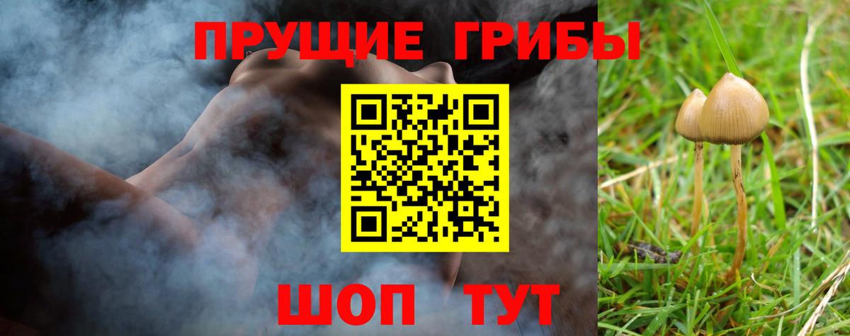 Малгобек  Псилоцибиновые грибы Cubensis  купить наркотики цена  Вход с VPN 